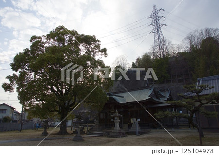 連島西浦の春　ソメイヨシノの季節　亀島神社 125104978