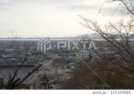 連島西浦の春　ソメイヨシノの季節　箆取神社 125104989