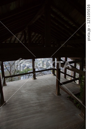 連島西浦の春　ソメイヨシノの季節　箆取神社 125105016