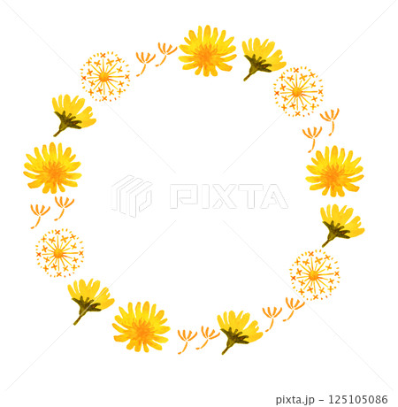 水彩のたんぽぽの花と綿毛の丸フレーム　春　黄色 125105086