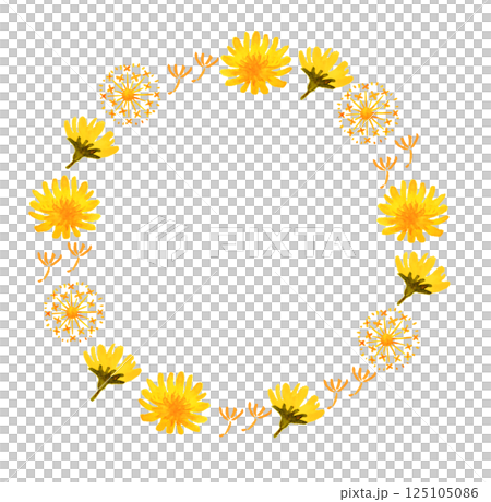 水彩のたんぽぽの花と綿毛の丸フレーム　春　黄色 125105086