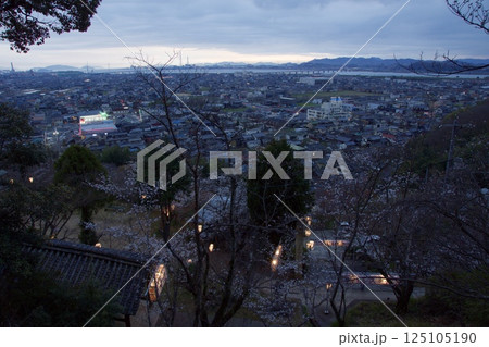 連島西浦ソメイヨシノの季節　箆取神社の夜 125105190