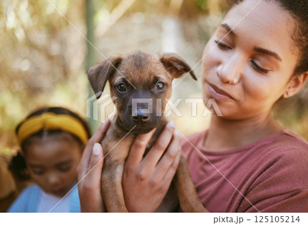 Dog, woman and hands holding puppy in love for adoption, life or bonding by animal shelter. Happy female carrying small little pup in hand for support, trust and loving affection for pet care or home Dog, woman and hands holding puppy in love for adoption, life or bonding by animal shelter. Happy female carrying small little pup in hand for support, trust and loving affection for pet care or home 125105214