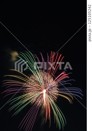 人気の花火大会(戸田橋花火大会・いたばし花火大会) 人気の花火大会(戸田橋花火大会・いたばし花火大会) 125105242