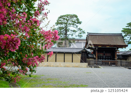 夏の京都御所　建礼門 125105424