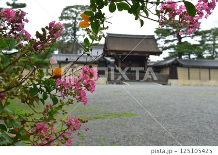 夏の京都御所 建礼門 夏の京都御所 建礼門 125105425