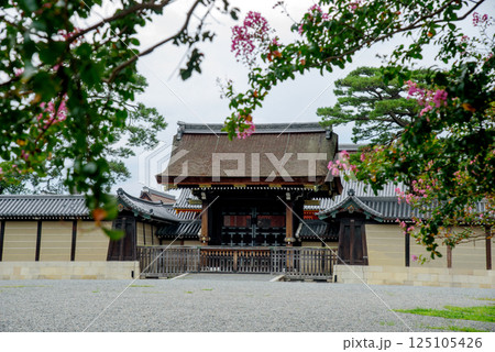 夏の京都御所 建礼門 夏の京都御所 建礼門 125105426