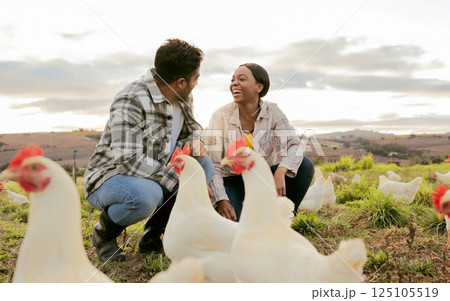 Farming, poultry and people with chicken outdoors doing check and feeding livestock. Agriculture, sustainability and man and woman working on poultry farm for healthy, organic and natural animals 125105519
