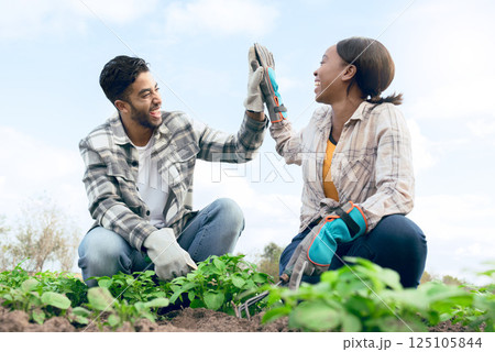 Farm, high five and man and woman celebrating farming success during harvest in a plantation garden. Multiracial, successful teamwork and celebration of agriculture or eco friendly farming 125105844