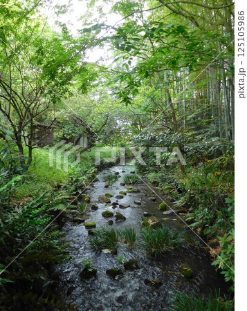 帷子川親水緑道 鶴ヶ峰 帷子川親水緑道 鶴ヶ峰 125105986