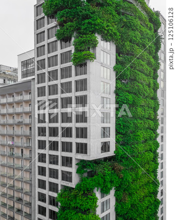 eco friendly green building with vertical garden, city harmony concept, sustainable architecture and urban nature balance 125106128