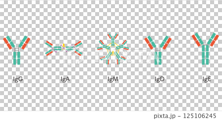 5 types of immunoglobulin set/green color 125106245