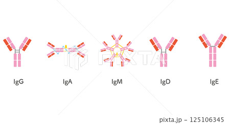 5種類の免疫グロブリンセット/ピンクカラー 5種類の免疫グロブリンセット/ピンクカラー 125106345