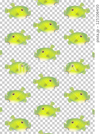 Cute boxfish pattern illustration Cute boxfish pattern illustration 125106450