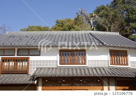 倉敷美観地区 春宵まつりの一日 梅の季節 倉敷美観地区 春宵まつりの一日 梅の季節 125106776