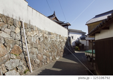 倉敷美観地区 春宵まつりの一日 梅の季節 倉敷美観地区 春宵まつりの一日 梅の季節 125106792