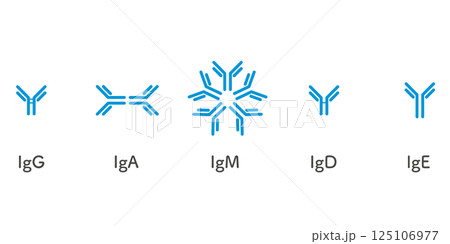 5種類の免疫グロブリンセット／シンプルバージョン 125106977