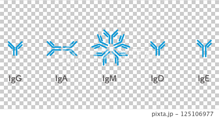 5種類の免疫グロブリンセット／シンプルバージョン 125106977