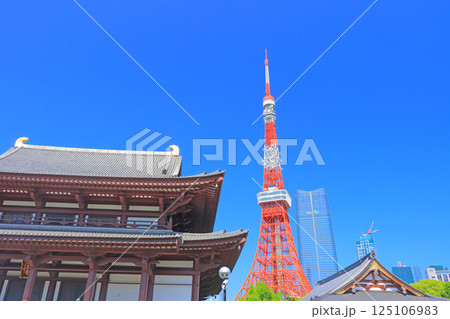 東京都港区、東京タワーと増上寺の風景 東京都港区、東京タワーと増上寺の風景 125106983