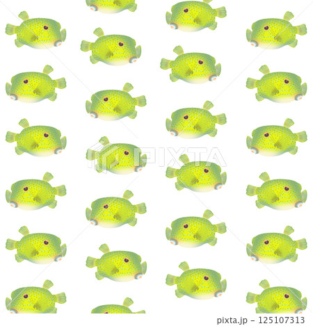 かわいいハコフグのパターンイラスト 125107313