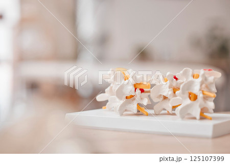 Bones, skeleton and model of spine in hospital, empty office or clinic. Anatomy, lumbar and mock up of human body parts for medical research, study and learning, education or scientific knowledge. Bones, skeleton and model of spine in hospital, empty office or clinic. Anatomy, lumbar and mock up of human body parts for medical research, study and learning, education or scientific knowledge. 125107399