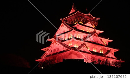 ライトアップされた日本の城 125107683