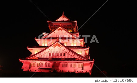 ライトアップされた日本の城 ライトアップされた日本の城 125107690