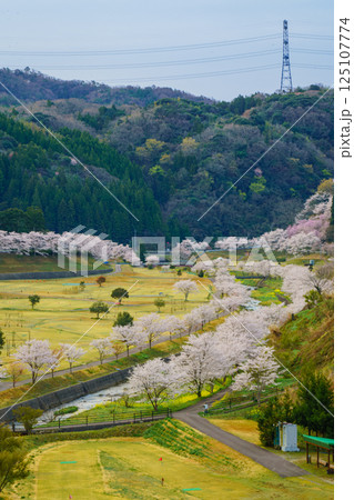 桜咲くひだまりパークみと　島根県 125107774