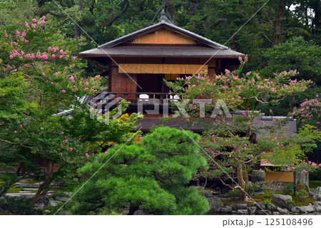 京都御苑　夏の九条邸跡 拾翠亭 125108496