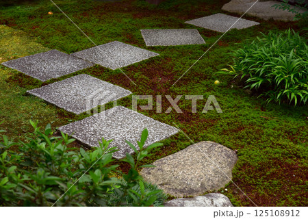 苔に飛び石 苔に飛び石 125108912