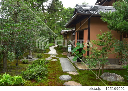 京都御苑　九条邸跡 拾翠亭 125109092