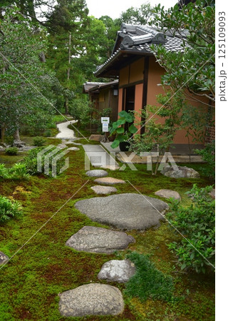 京都御苑　九条邸跡 拾翠亭 125109093