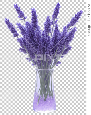 Lavender (Lavandula) slender, rectangular glass vase filled with purple-tinted water, holding a neatly arranged bundle of lavender stems, surrounded by 125109578