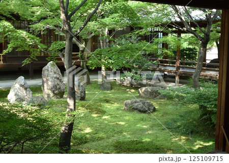 建仁寺 中庭 潮音庭(京都市東山区) 建仁寺 中庭 潮音庭(京都市東山区) 125109715