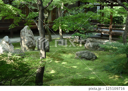 建仁寺 中庭 潮音庭(京都市東山区) 建仁寺 中庭 潮音庭(京都市東山区) 125109716