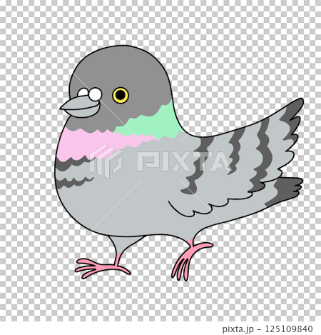 illustration of cute pigeon illustration of cute pigeon 125109840