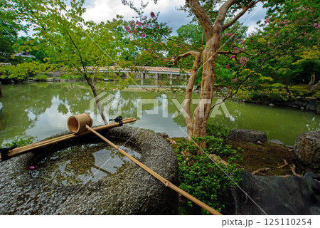 京都御苑 夏の九条邸跡 拾翠亭 京都御苑 夏の九条邸跡 拾翠亭 125110254