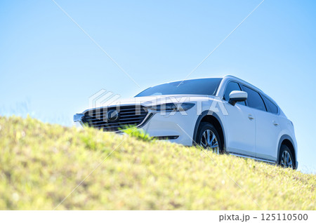 白いSUVタイプの車 白いSUVタイプの車 125110500