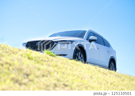白いSUVタイプの車 白いSUVタイプの車 125110501