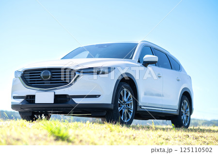 白いSUVタイプの車 125110502
