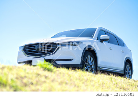 白いSUVタイプの車 白いSUVタイプの車 125110503