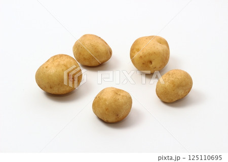 大地育む黄金色の宝石 大地育む黄金色の宝石 125110695