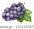ぶどう　葉付き 125110787