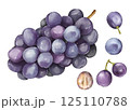 ぶどう 125110788