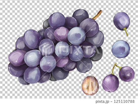 Grape  125110788