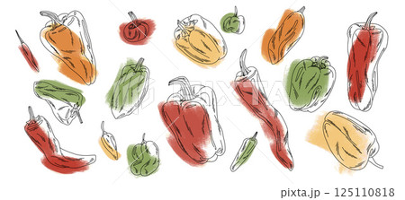 large set of contour different varieties peppers on multi-colored spots, for packaging, menu layouts 125110818