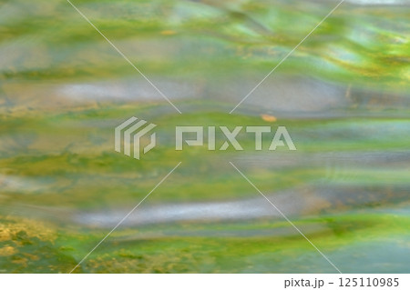 夏の川の緑の流れ 夏の川の緑の流れ 125110985