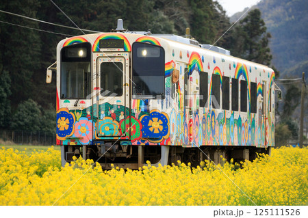 菜の花と「スーパーハッピー号」(平成筑豊鉄道) 菜の花と「スーパーハッピー号」(平成筑豊鉄道) 125111526