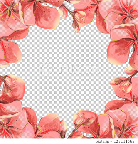 Sakura flowers red pink watercolor frame on white background in high quality. Perfect for postcards, invitations, weddings. Spring flowers will perfectly decorate home decor. Sakura flowers red pink watercolor frame on white background in high quality. Perfect for postcards, invitations, weddings. Spring flowers will perfectly decorate home decor. 125111568