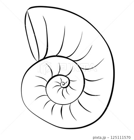 Nautilus shell illustration. Vector graphic line ink icon. isolated on transparent background for package, kitchen design, fabric and textile. 125111570